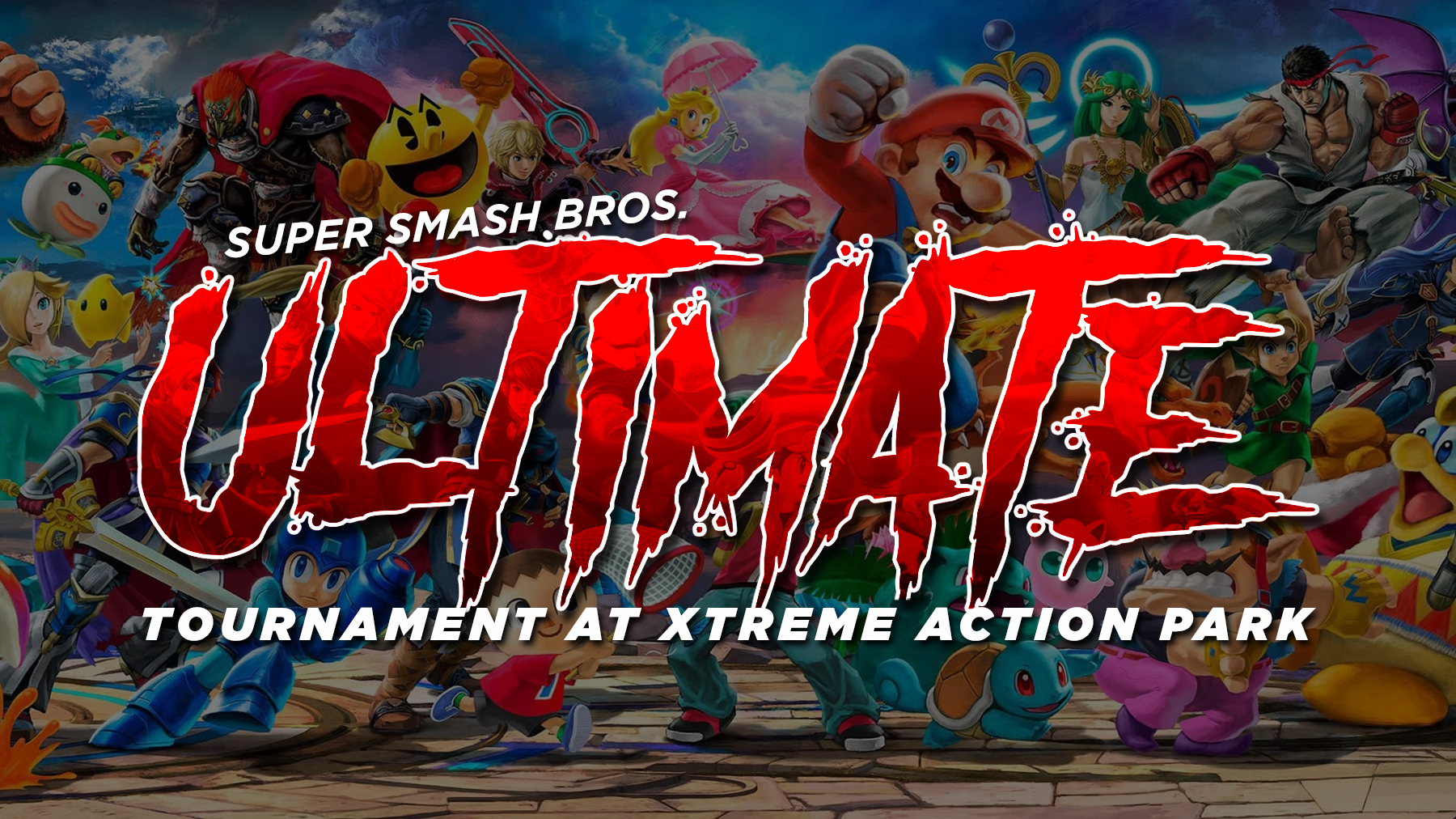 Super Smash Ultimate Tournament at the Park